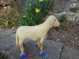 Steiff Rarität Schaf auf Rädern um 1920