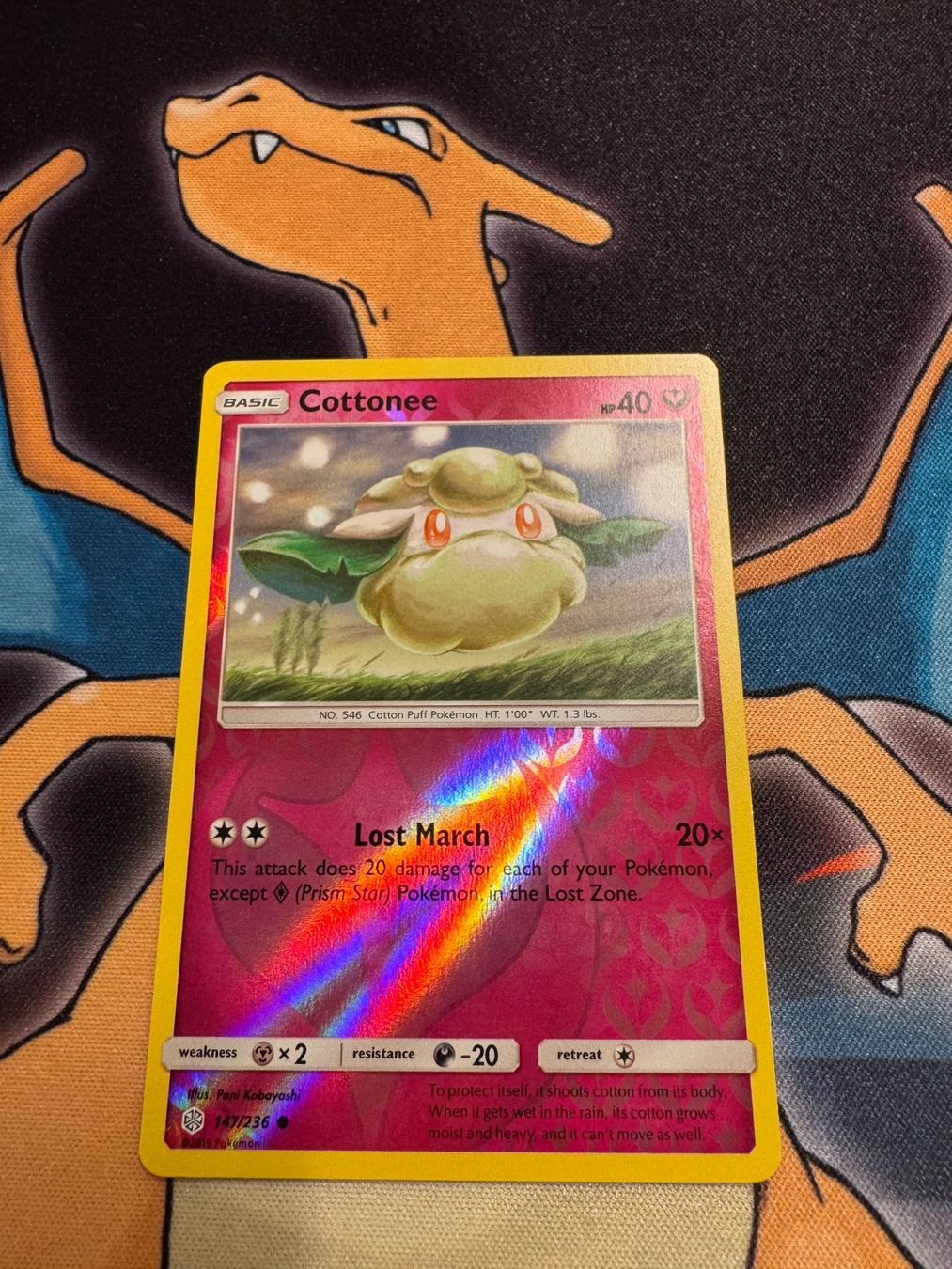 Pokémon Carte collezionabili: Cottonee (CEC 147) - Reverse Holo - Cosmic Eclipse – Nuovo (secondo la descrizione) da Bülach venduto da Pfrenzel