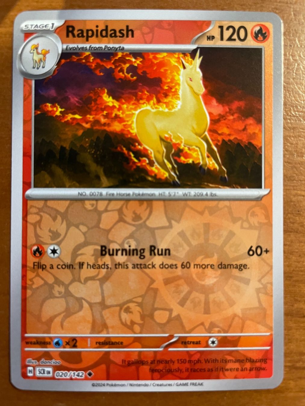 Pokémon Carte collezionabili: Pokemon Rapidash Reverse (Versand gratis) – Nuovo (secondo la descrizione) da Chur venduto da Angerson