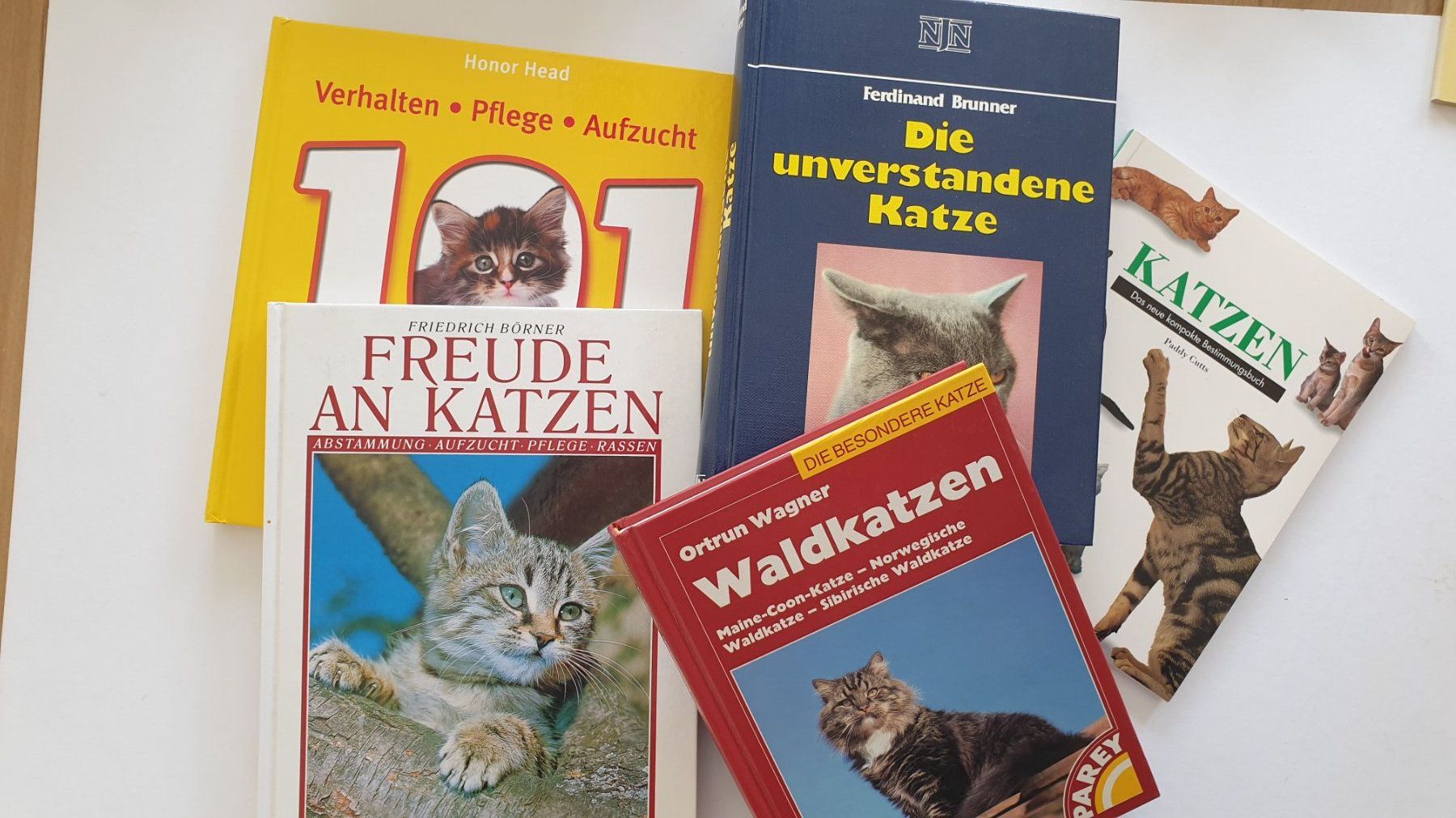 Libri: Katzenbücher – Usato da Goldach venduto da armando_r