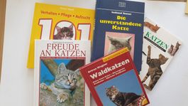 Katzenbücher