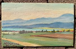 Gemälde / Der Hallwilersee von F.J. Erismann 1979 (ID B5926)