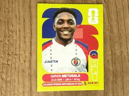 Panini FIFA World Cup 2026 Sticker Garven Metusala Hai 8