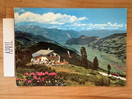 AK von Alpengasthaus Kaltenbacher im Zillertal