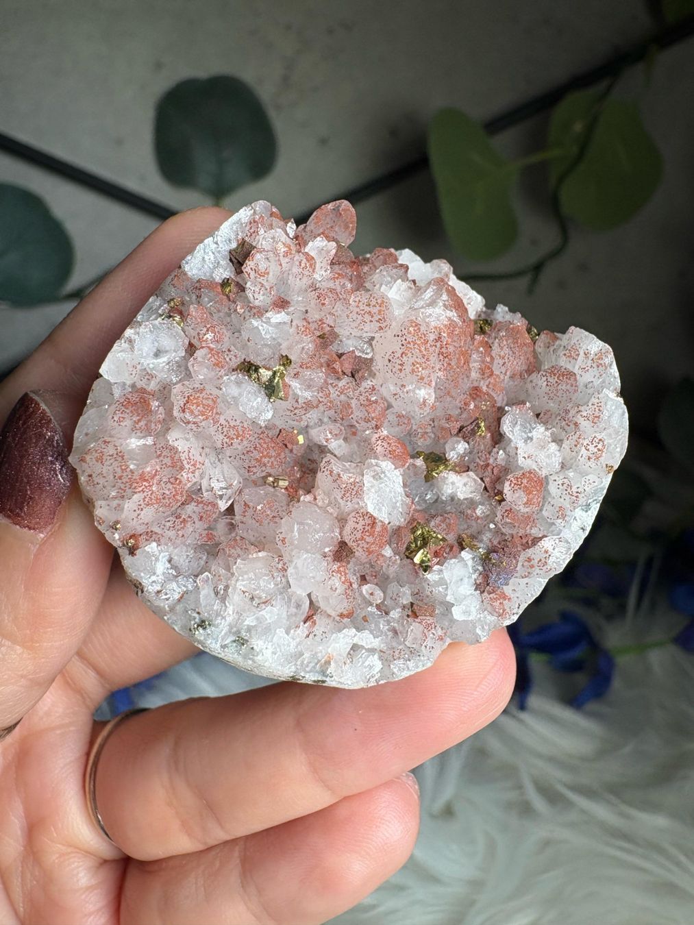 Pietre preziose: Roter Quarz-Cluster mit Pyrit – Nuovo (secondo la descrizione) da Neuheim venduto da m.hald 3
