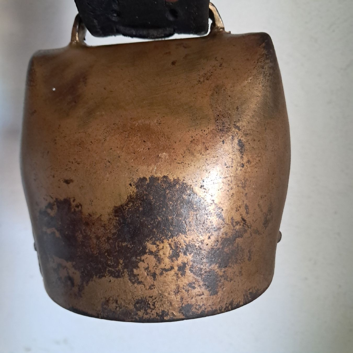 Campanacci mucche: OBERTINO TREICHEL ab 2Fr  – Usato da Murten venduto da SHETHOF 4