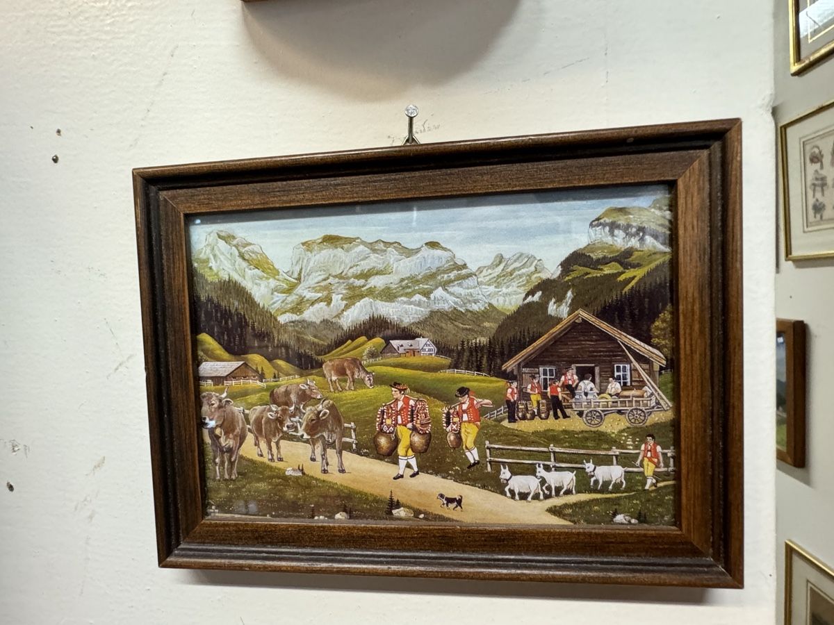 Foto & Immagini: Kleines Appenzeller Bild  – Usato da Chur venduto da Meriva0 1