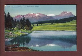 MONTANA - Lac et Wildhorn