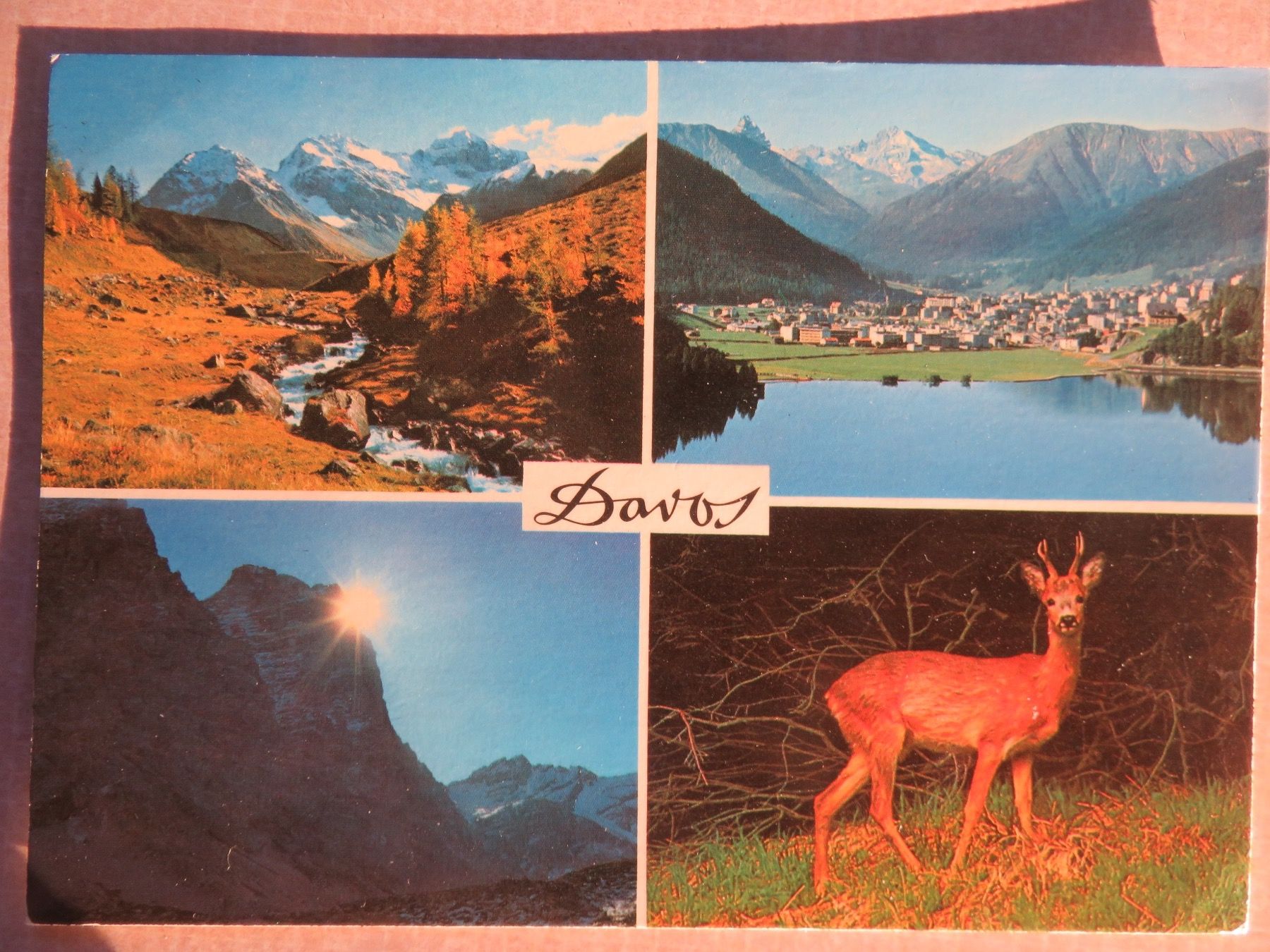 Cartes postales: Davos – D'occasion à Oberriet SG par ret_7j2k