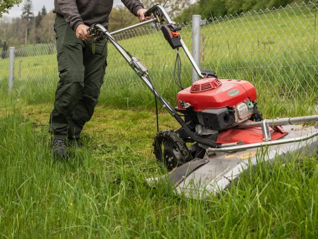 Honda Rasenmäher: Faucheuse Honda professionnelle – Gebraucht aus St. Ursen von cpi23 2