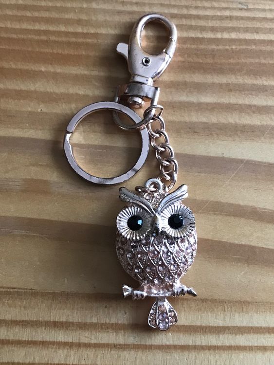 Eule Schlüsselanhänger - Glücksbringer Aus Metall Mit Schutzengel Motiv Für Leseratten