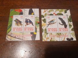 Timbres du Tchad - Perroquets 2010 - Collection Rare!