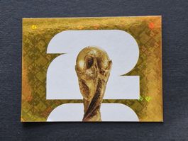 Panini - FWC 1