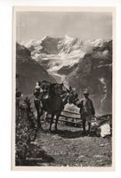 GRINDELWALD Faulhornpost - Mann mit Maultier