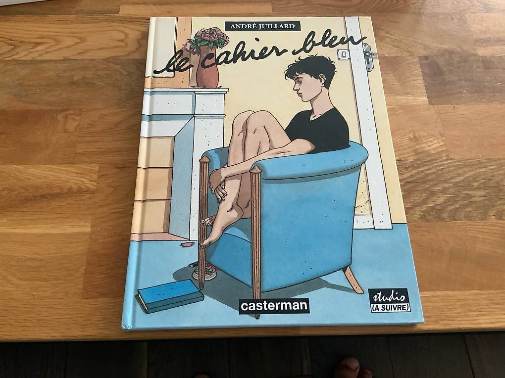 Fumetti: Bande dessinée le cahier bleu – Usato da morges venduto da gro_zbz7