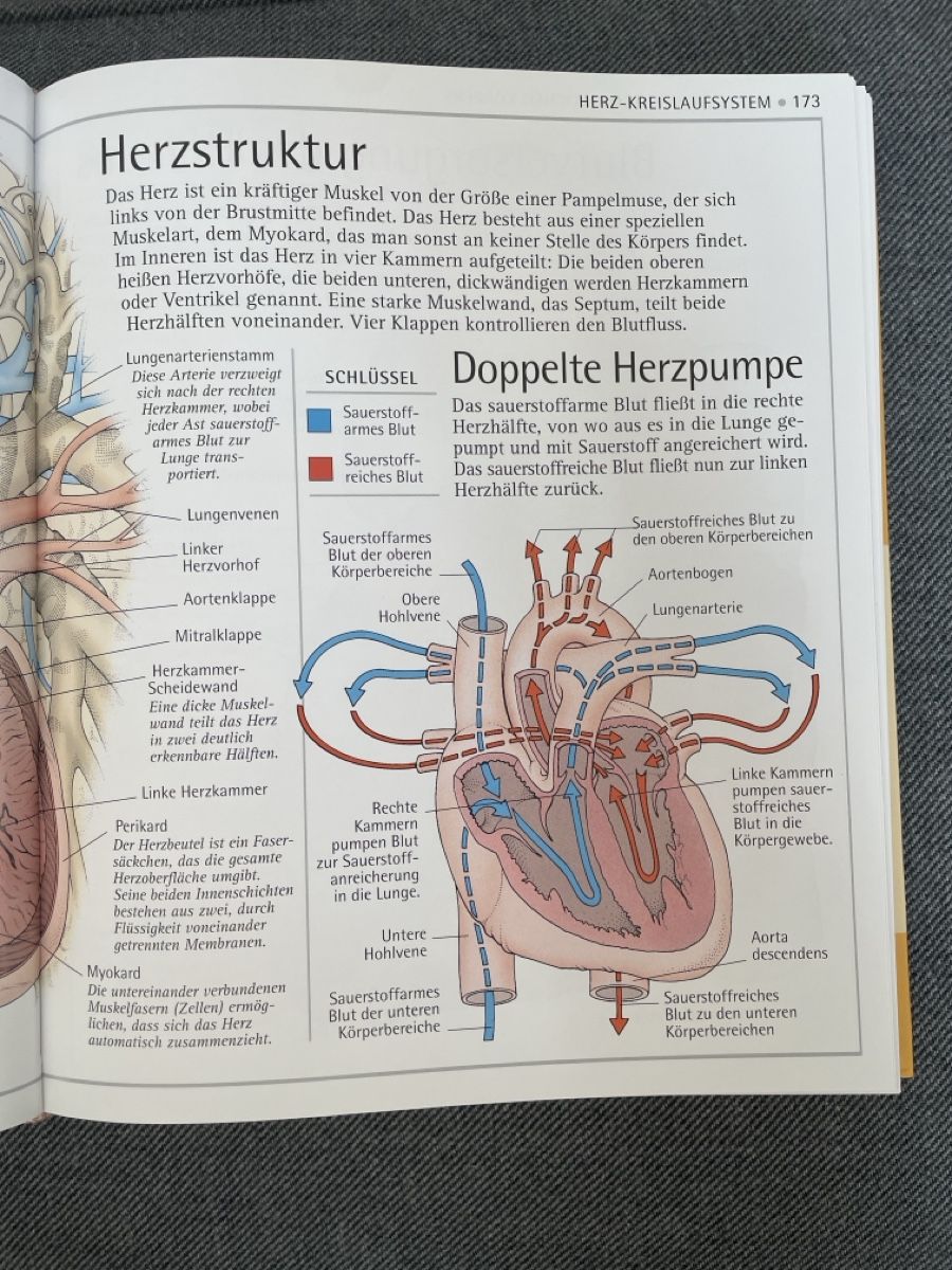 Libri: Anatomie Bücher – Usato da Arni BE venduto da Laedu14 5