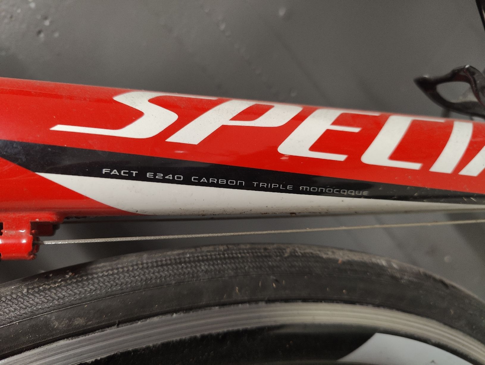Specialized Biciclette: Specialized Tarmac Expert - Carbon Rennrad – Usato da Rüfenacht BE venduto da MigliS 3