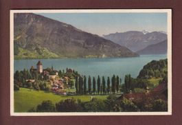 SPIEZ - Wetterhorn