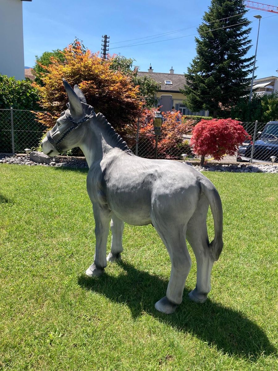 Tutte le decorazioni: Esel Figur Deko in – Usato da Bern venduto da sts_5kjj 1