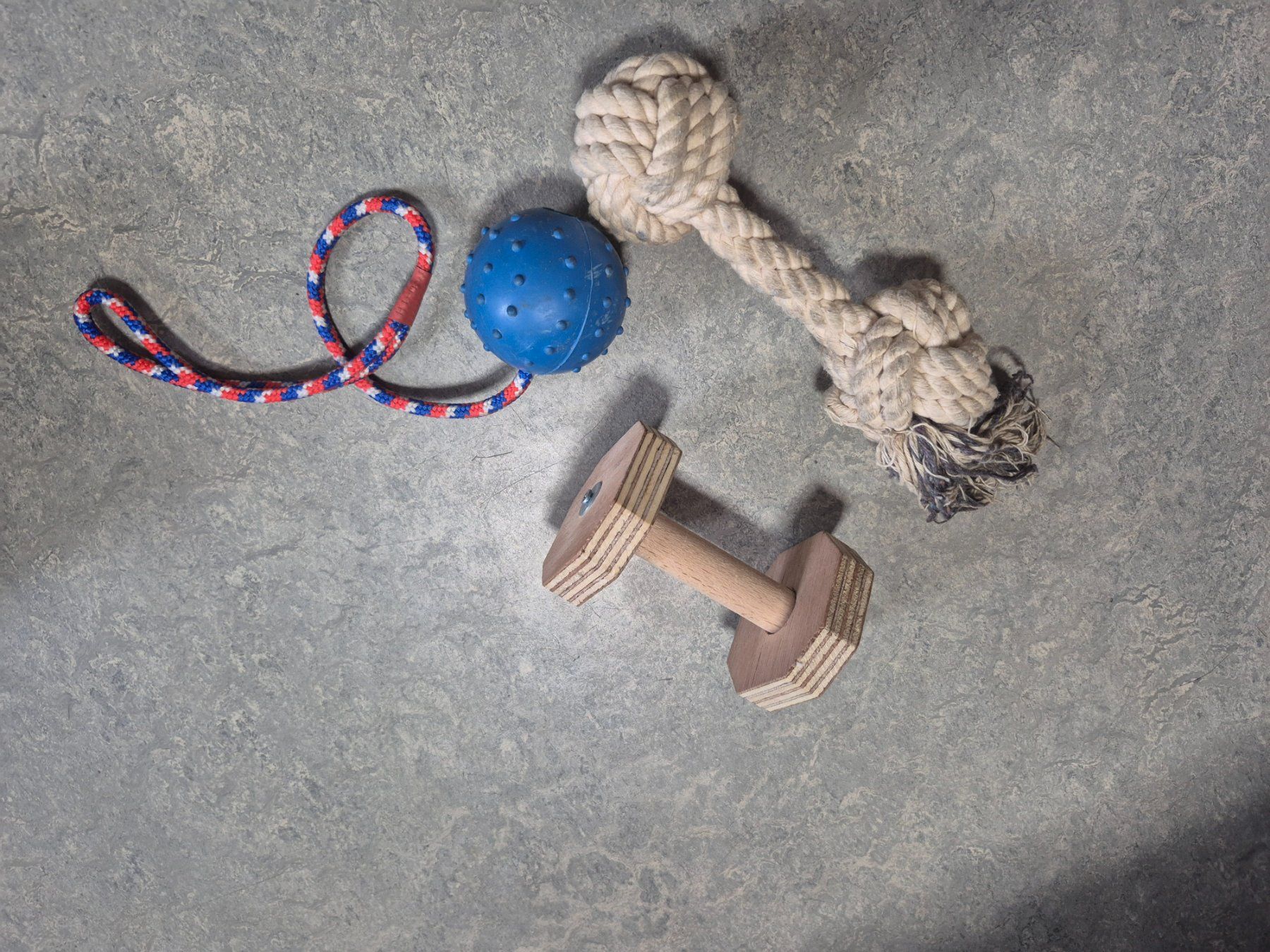 Giocattoli: Hundespielzeug – Usato da Wettingen venduto da rue_27mw