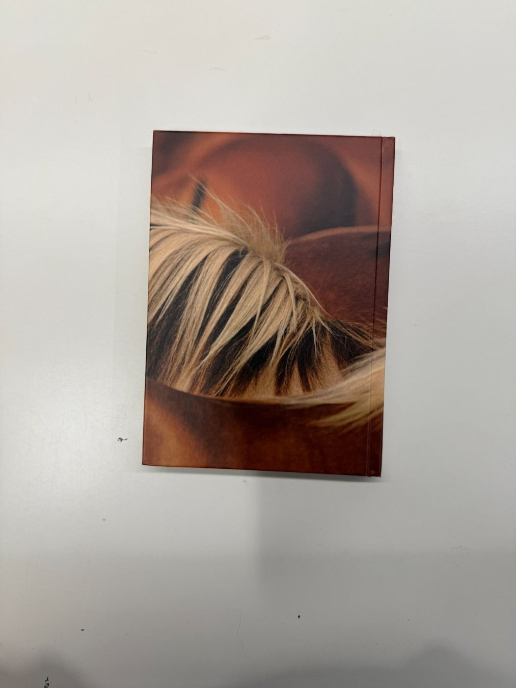 Bücher: Kleine Pferdegeschichten Nr. 50 – Gebraucht aus Erstfeld von Mario_boe0 2