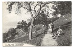 Glion (VD) La promenade - Höhenweg - um 1910