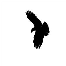 Profile image of forestraven