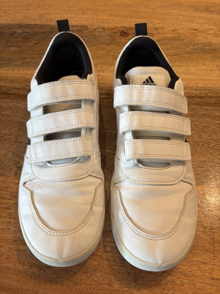 Adidas Scarpe per ragazzi: Adidas Sportschuhe Gr.38 2/3 – Usato da Oberdorf SO venduto da sa-na 1
