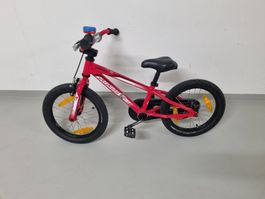 Specialized Hotrock 16 Zoll - Kindervelo für jedes Abenteuer