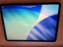 iPad Pro 11" 2021 A2377 – Glas defekt, voll funktionsfähig
