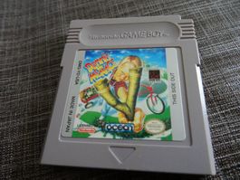 Dennis the Menace GAMEBOY