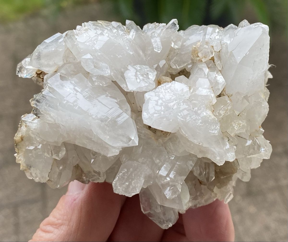 Minerali & Pietre curative: Top Stufe Wergenstein Graubünden  – Usato da Selzach venduto da 321compac 1