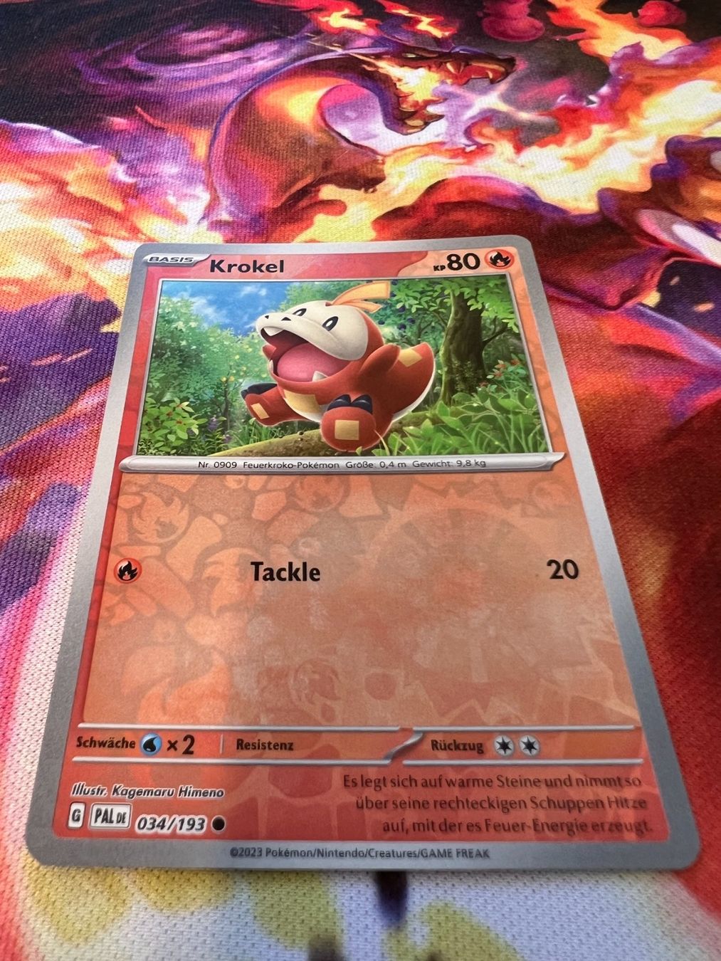 Pokémon Carte collezionabili: Krokel (PAL 034) / Reverse Holo / Entwicklungen in Paldea – Nuovo (secondo la descrizione) da Bülach venduto da CherryBlu