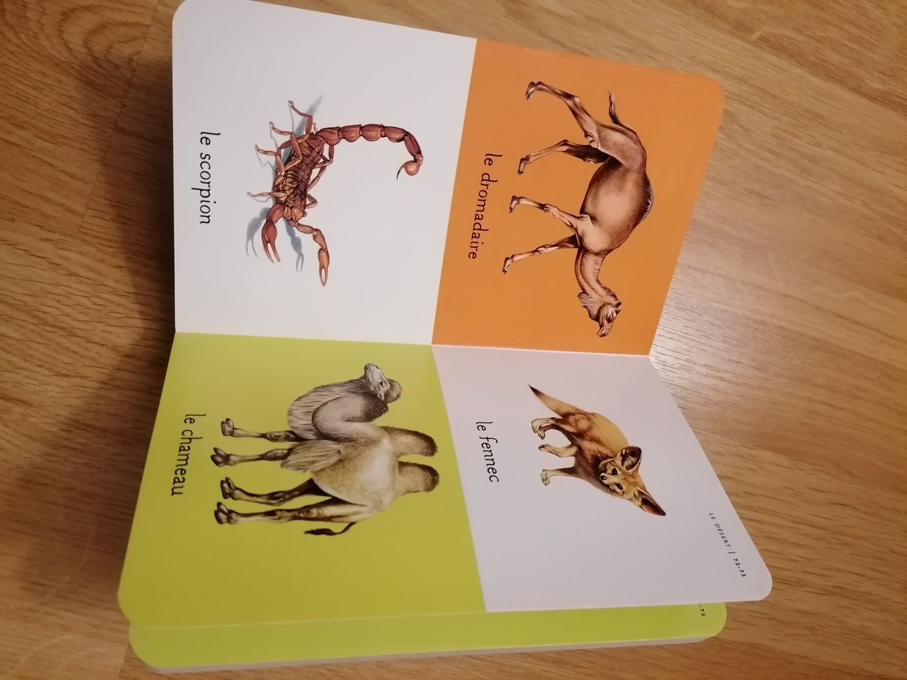 Libri: Livre Mon imagier des animaux – Usato da Büttikon AG venduto da Amineah 4