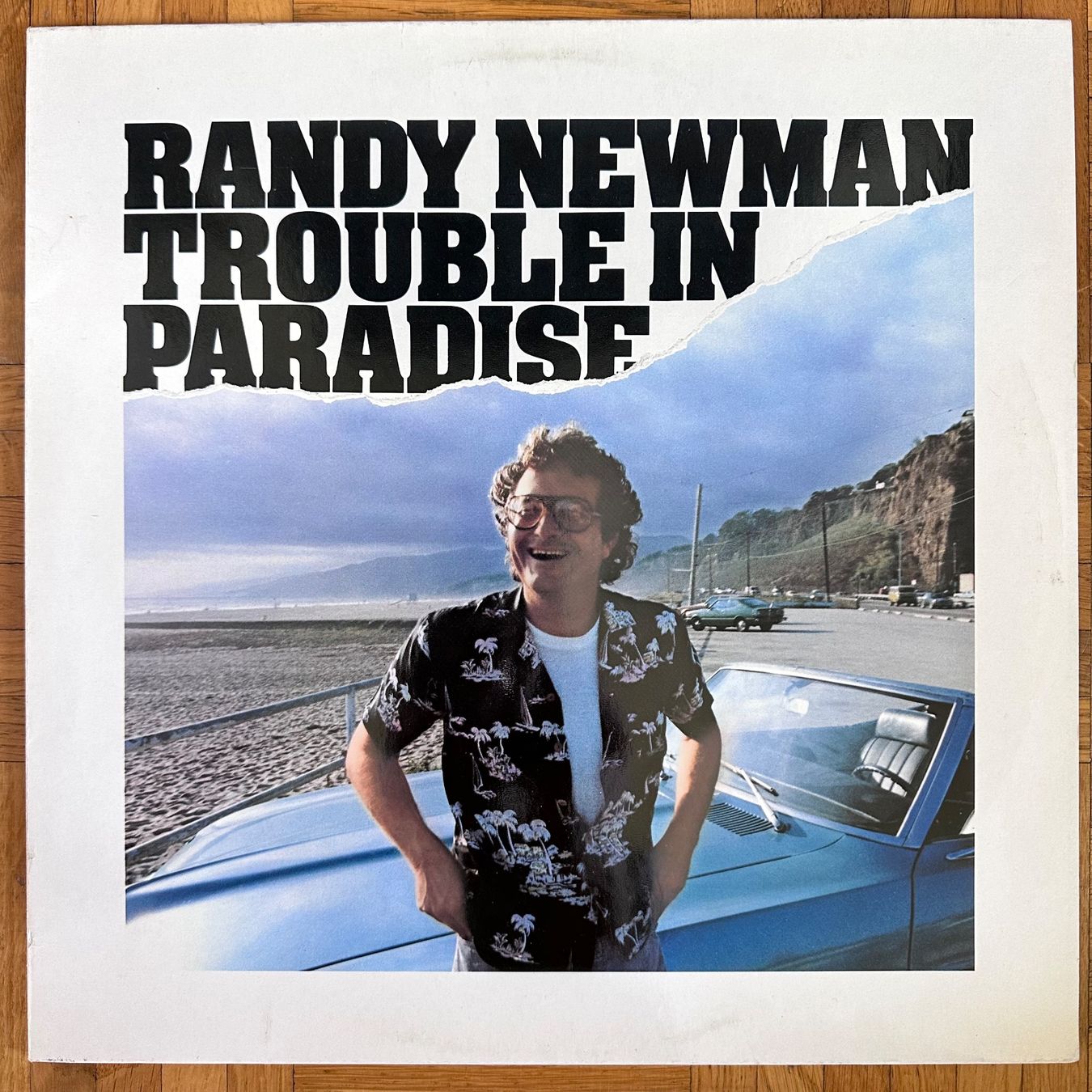 Dischi in vinile: LP - Randy Newman - Trouble In Paradise – Usato da Breganzona venduto da Onairda75