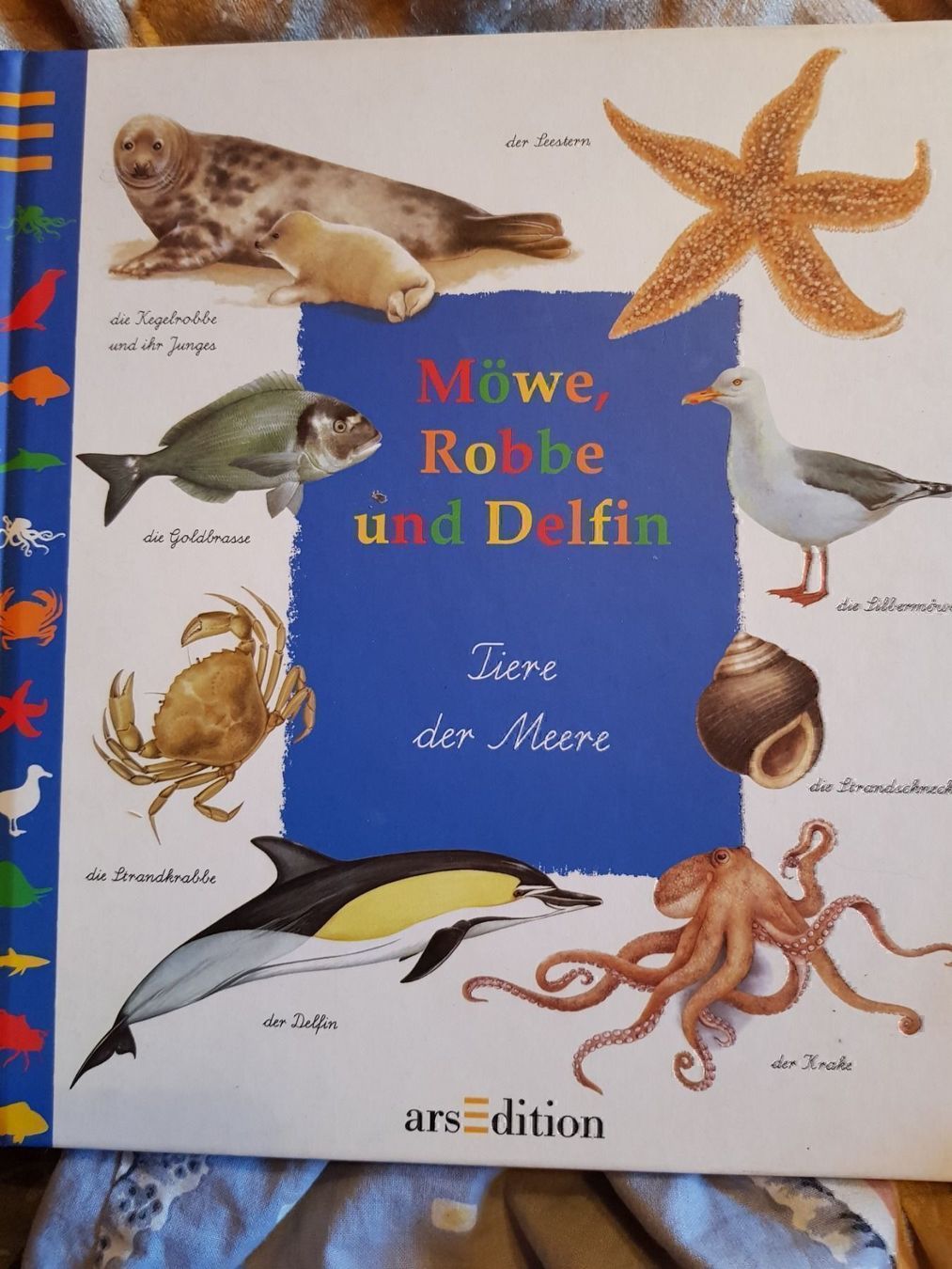 Libri: Buch Möwe, Robbe und Delfin – Nuovo e nell'imballaggio originale da Schwarzenburg venduto da Flamingo07