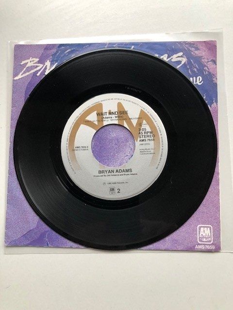 Dischi in vinile: Bryan Adams – Usato da Aarwangen venduto da Jukebox3 3