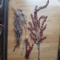 Winter Deko Zweige mit Beeren, Weihnachten