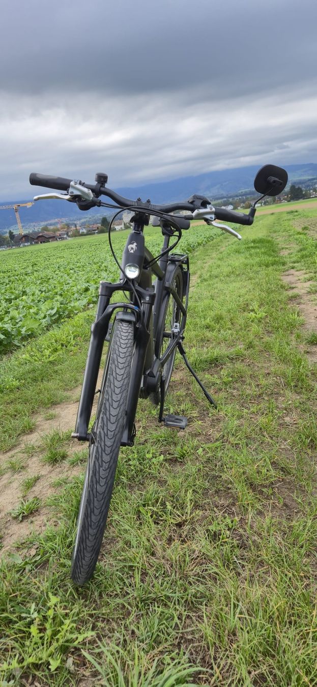 Cresta Biciclette: Cresta eGiro Neo 45 km/h – Usato da Steffisburg venduto da RnPerformanceShop 3