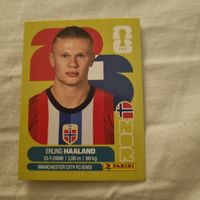Carte Erling Haaland Panini FIFA World Cup 2026 NOR 15