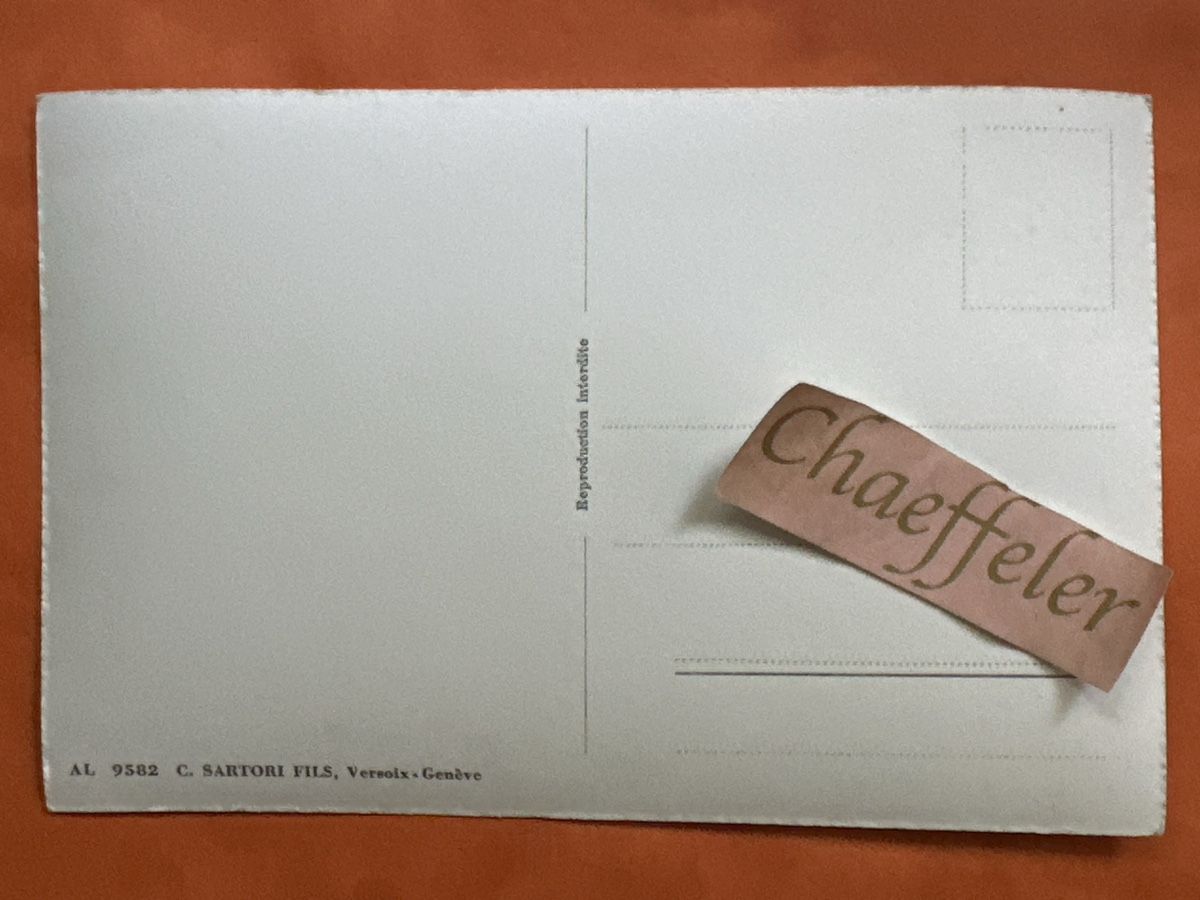 Cartes postales: Ansichtskarte Bern Ansichtssache mit Bear C. Sartori Fils – D'occasion à Zürich par Chaeffeler 1