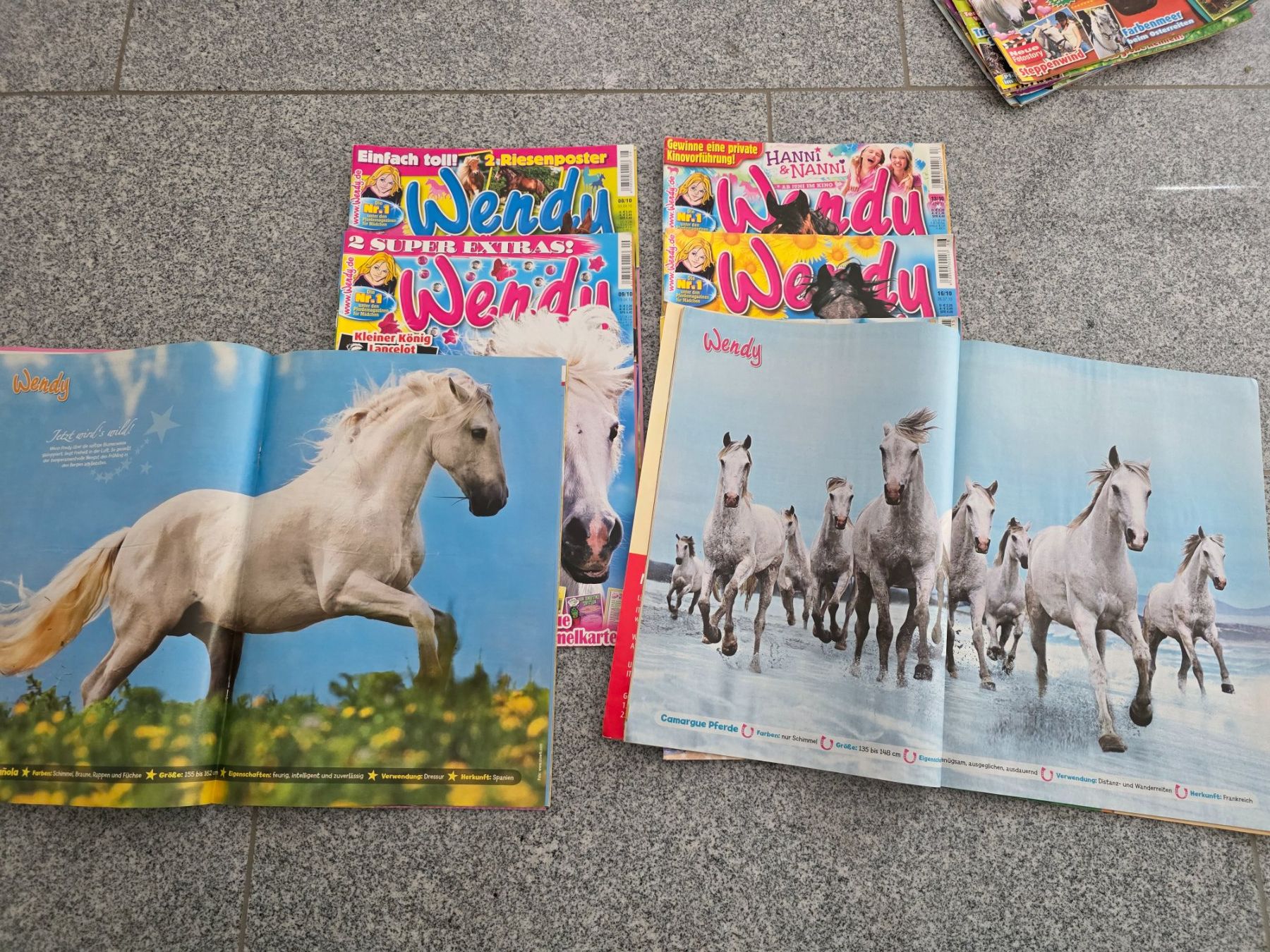 Fumetti: Wendy Comic Hefte/ Pferde Zeitschriften von 2010 – Usato da Tägerschen venduto da mamirockt 1