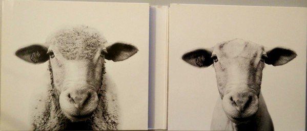CD: set 2CD's - BLIGG - 0816 NACKT – Usato da Unterbäch venduto da kolbar 5