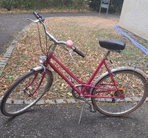 Damenvelo pink Retro 