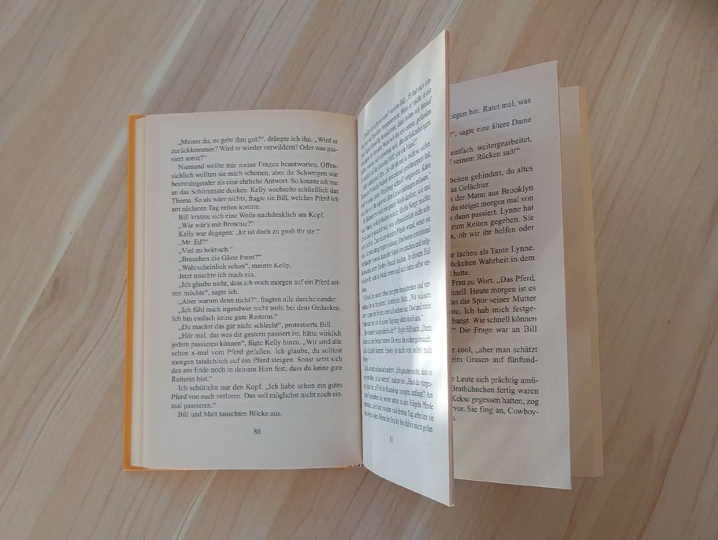 Bücher: Mein Sommer mit den Wildpferden – Gebraucht aus Pfäffikon SZ von Wild0 3