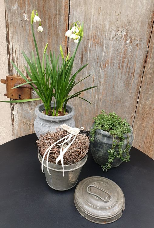 Gugelhopf Antike Backform mit Deckel Brocante Blumentopf Kaufen auf