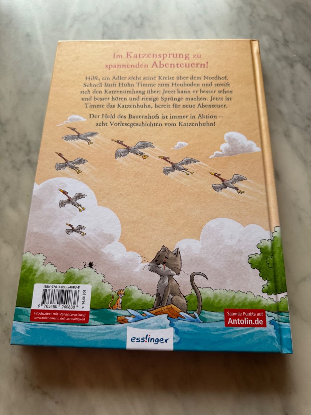 Bücher: DAS KATZENHUHN – Neu (gemäss Beschreibung) aus hägendorf von twilightprincess 1