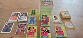 467 cartes panini, dont 21 doubles et 4 coca