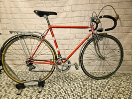 Allegro Renn / Citybike kult Retro Vintage