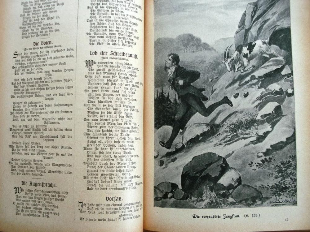 Livres: Heines + Rückerts Werke – D'occasion à Grenchen par Kogi7 8